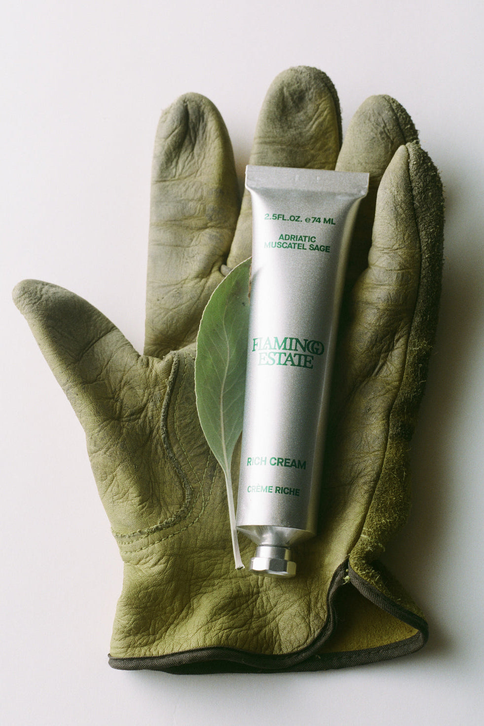 Adriatic Muscatel Sage Rich Cream
