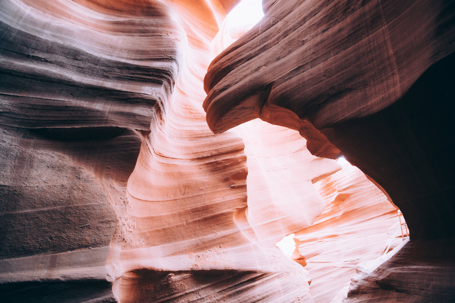 THE CANYON REWARDS