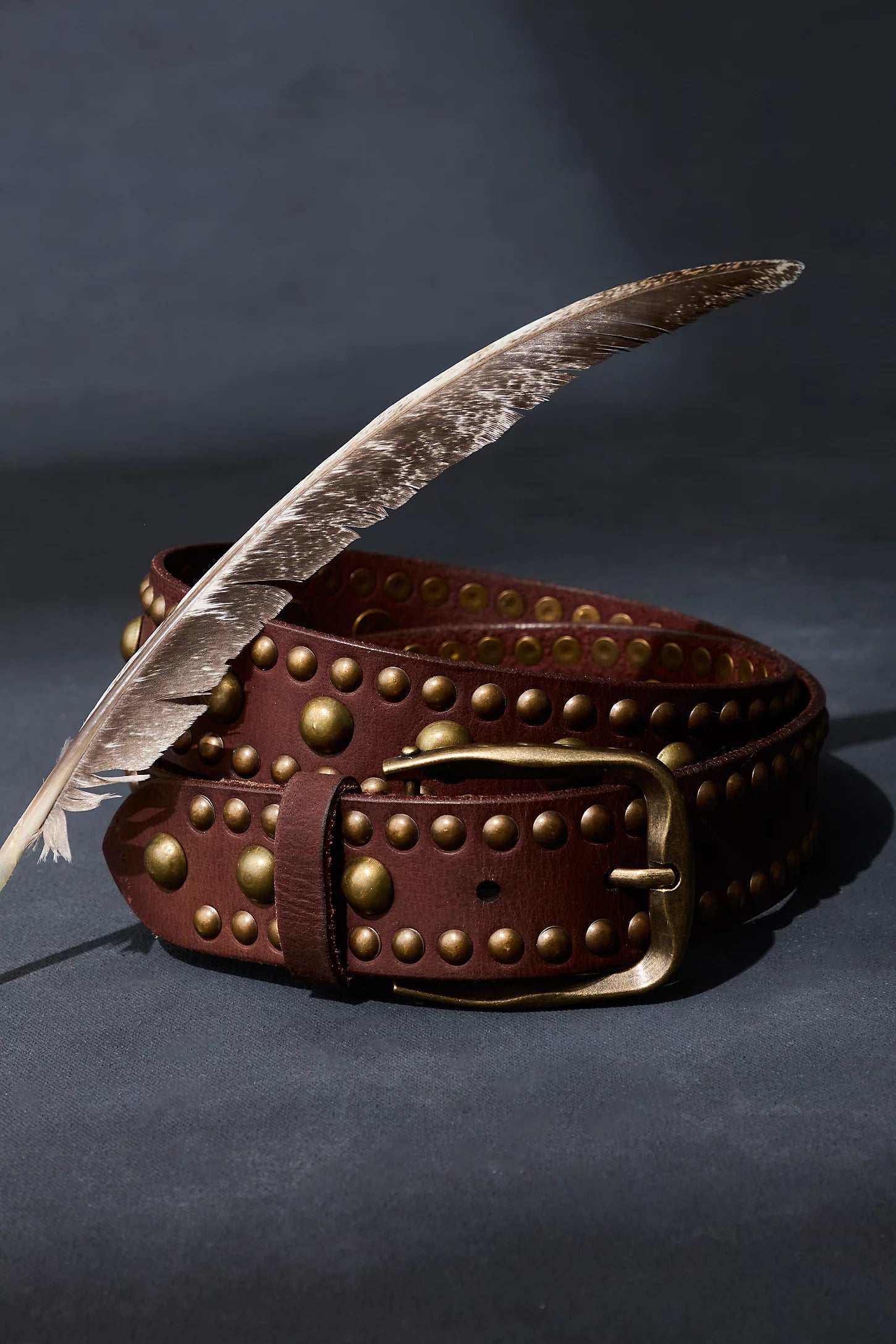 WTF Sola Stud Belt