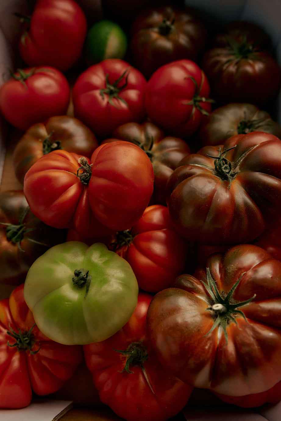 Heirloom Tomato Candle