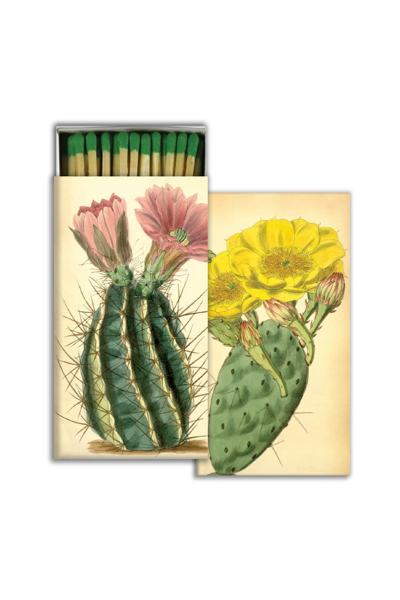 Lamplighter Matches Home HomArt