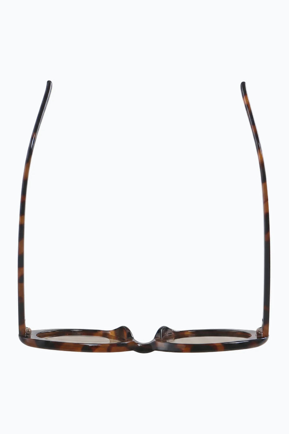 Scarlet Sunglasses Accessories Jaxy