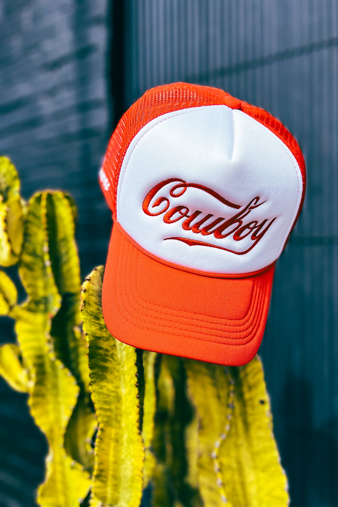 Trucker Hat - Cowboy - The Canyon