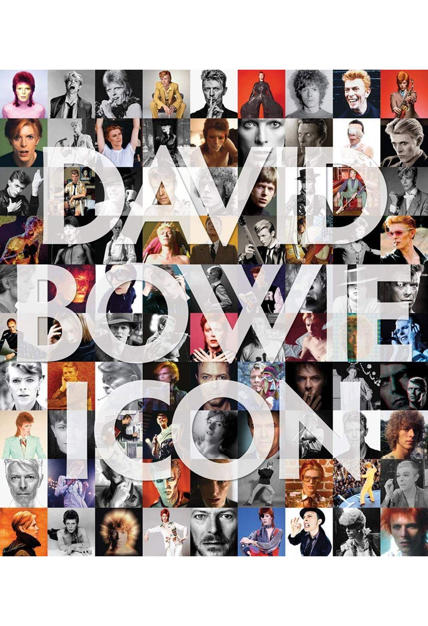 David Bowie Icon The Definitive Photographic Collection - The Canyon